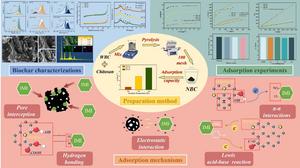 ADSORPTION MECHANISM OF IMIDACLOPRID ON N-MODIFIED BIOCHAR IN AQUEOUS SYSTEMS