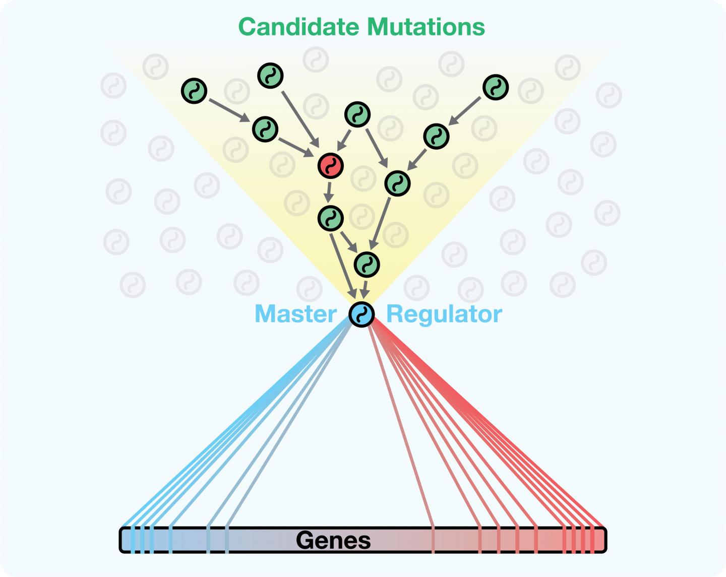 New Computational Approach Finds Gene That Drives Aggressive Brain Cancer