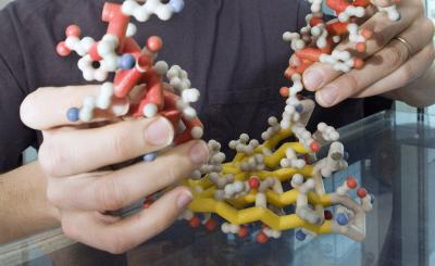 Protein Modeling