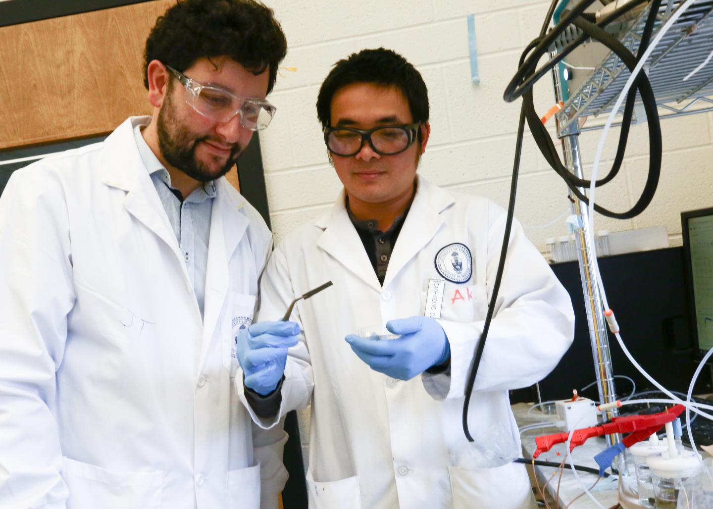 Researchers