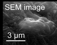 Scanning Electron Microscope Image of Radioactive Cesium Particle