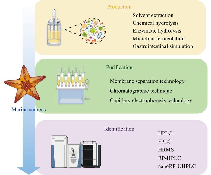 Advanced production technologies for marine peptides