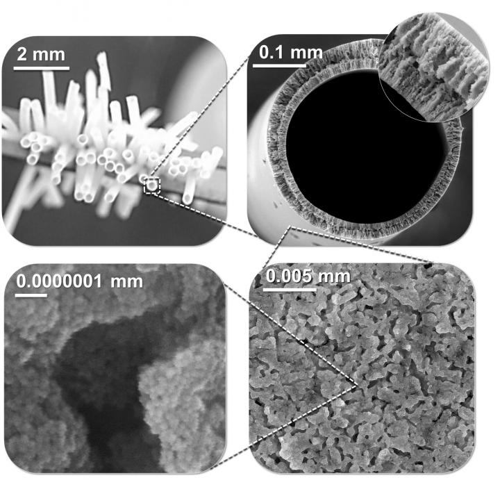 Bijel Filter with Detail and Scale Bars