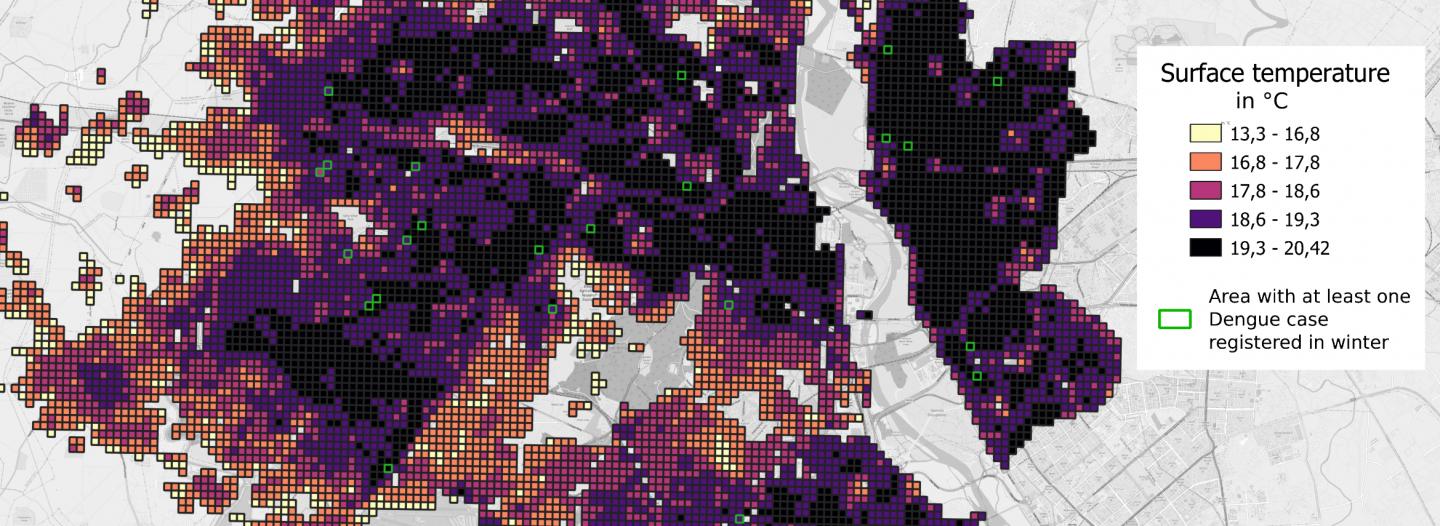 Cartographie des îlots de chaleur et des cas de dengue hivernaux