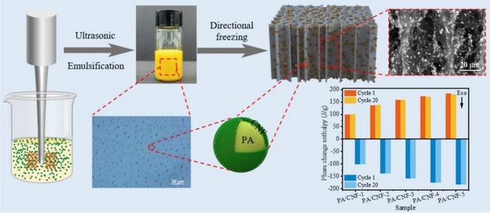 Dual-Scale Encapsulation Strategy Delivers Leak-Proof Phase Change Materials from Biomass