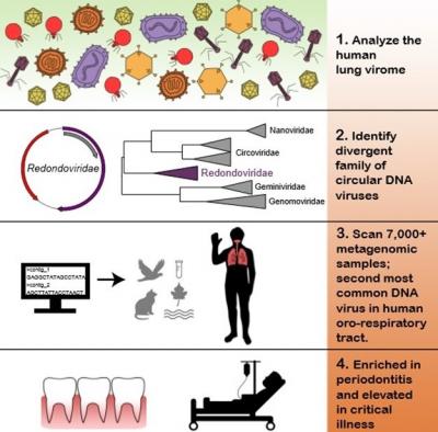 Virus Hunting