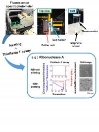 Fig. 2