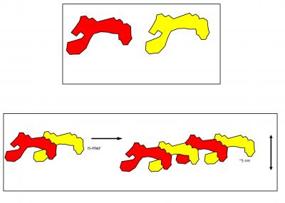 Molecules Assembling