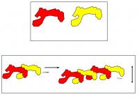 Molecules Assembling