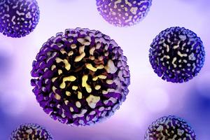 Hepatitis B virus