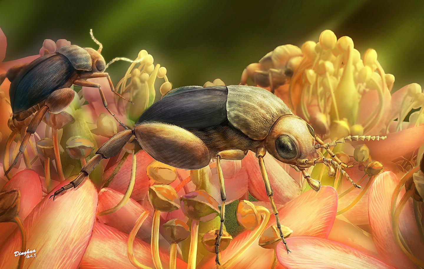 Artist's Rendering of <i>A. burmitina</i>