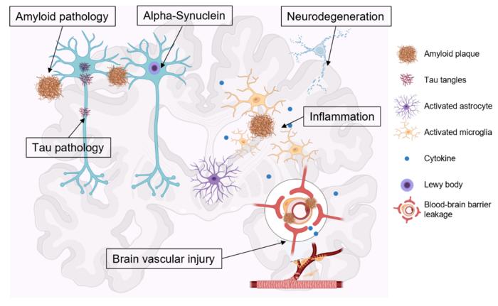 Disease-modifying targets under the ATNIVS schema