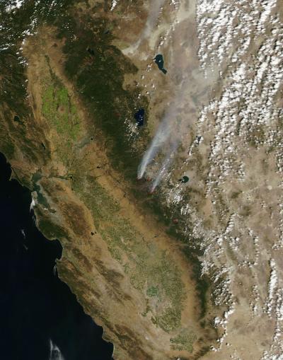 Aqua Spots Rim Fire
