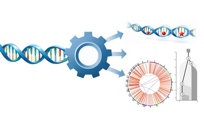 Metapipeline-DNA schematic