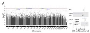 Genome-Wide DNA Methylation Associations Across Developmental Cohorts