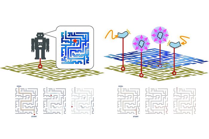 Artificial intelligence theory could be the key to how collective cell intelligence works