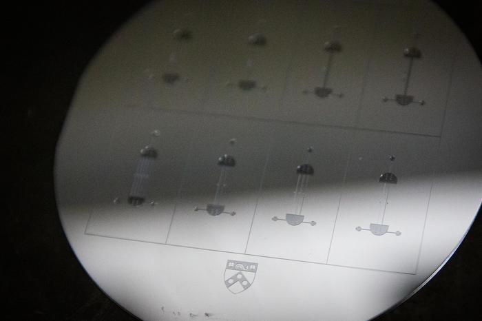 Penn shield at nanoscale