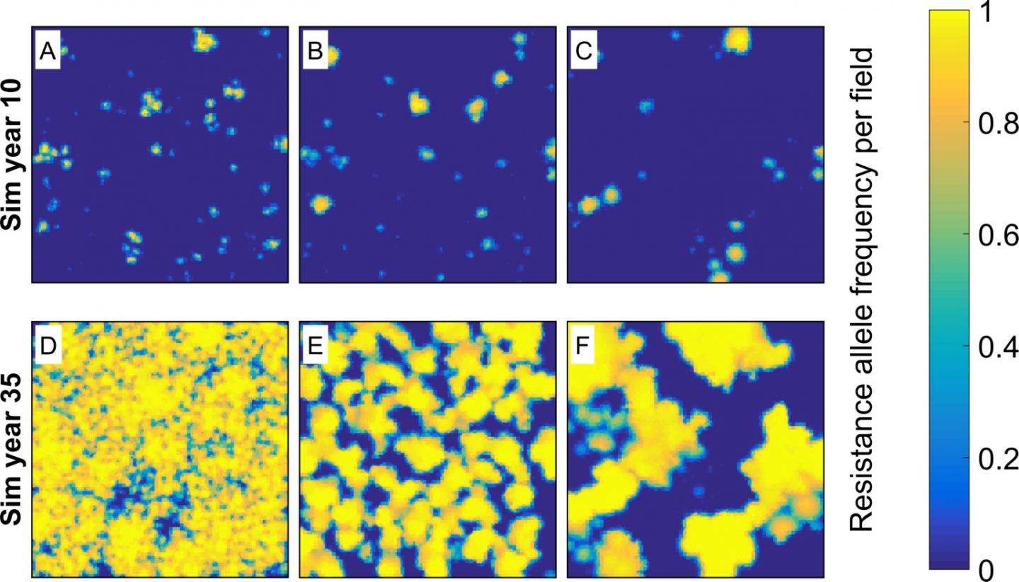 Simulation Shows Cooperative Weed Management Slows Herbicide Resistance Evolution