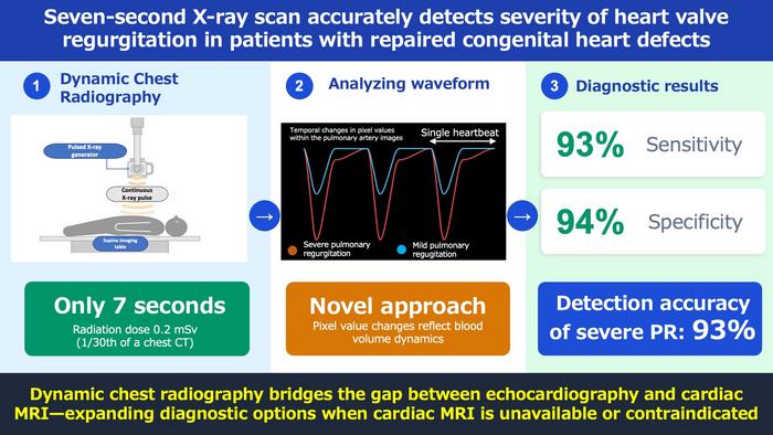 Graphical abstract of the research