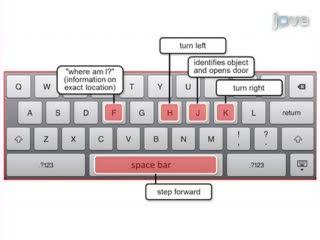 Development of an Audio-based Virtual Gaming Environment to Assist with Navigation Skills in the Blind