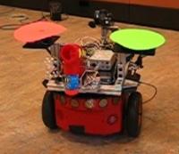 Robot Playmate