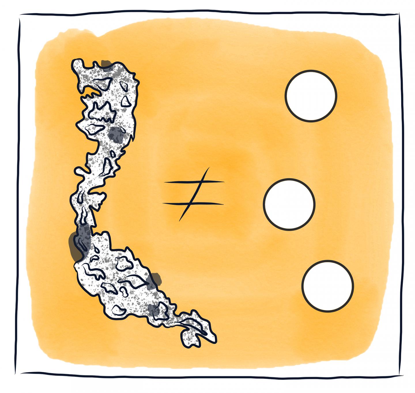 Does Not Equal a Protein Particle