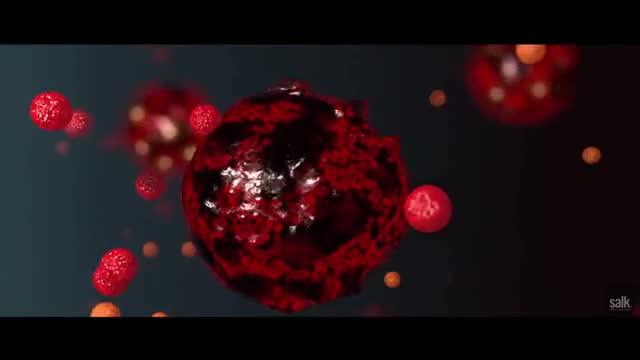 Salk Institute Awarded $2.5 Million SU2C Grant