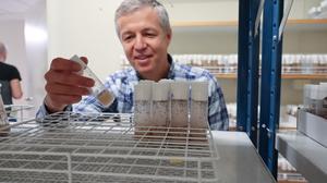 Professor Yuri Schwartz