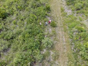 Washington Oaks Florida (USA) coastal squeeze - photo by Orlando Cordero