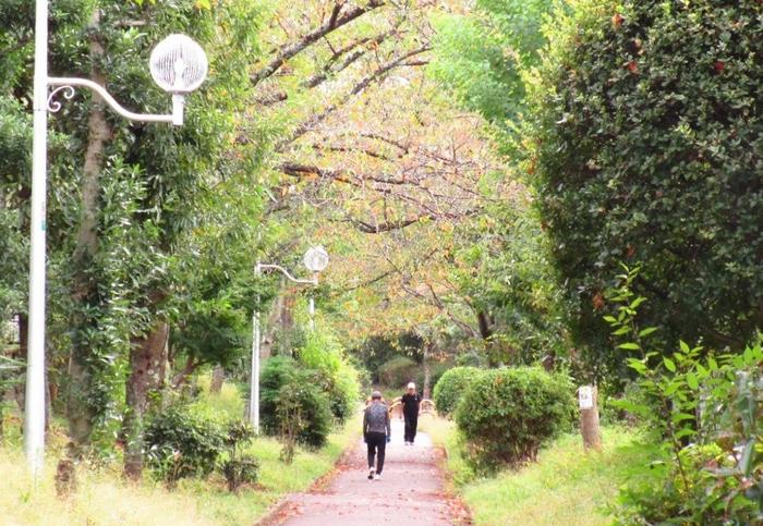 Older adults walking in Senboku New Town, Osaka
