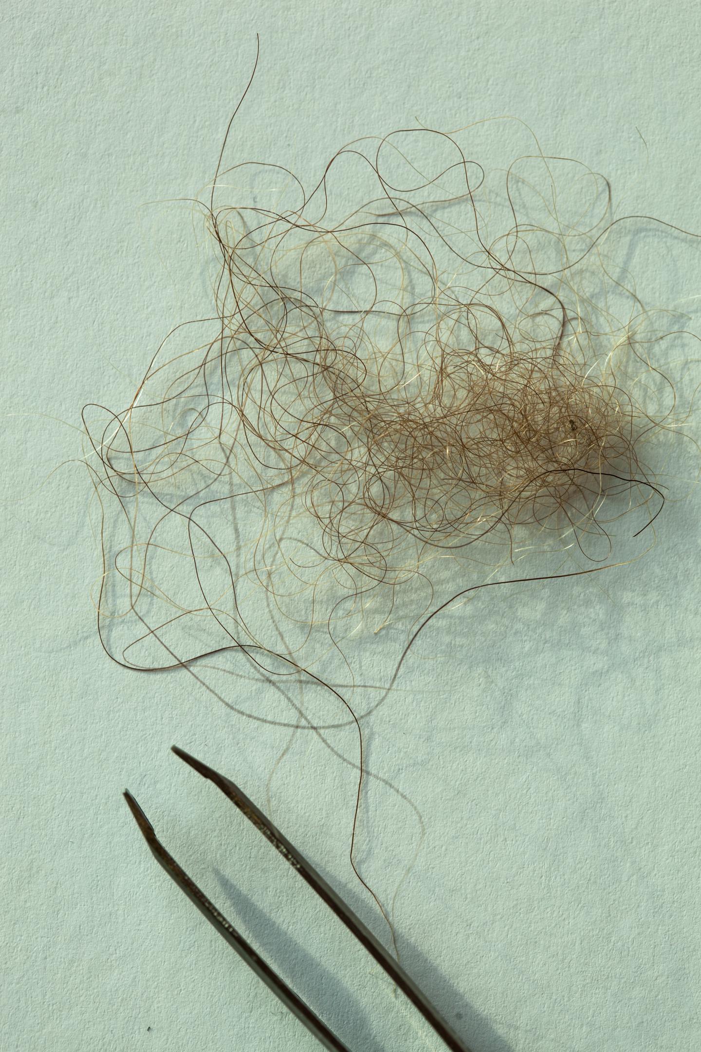 Hair Sample