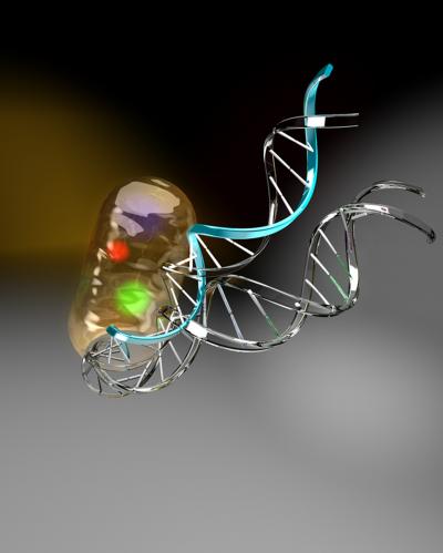 Single-Cell Studies Reveal Some Surprising Interactions (1 of 2)