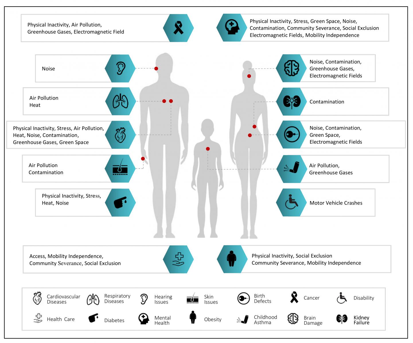 CVEN_Figure 2