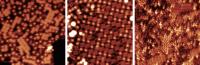 Scanning Tunneling Microscopy Images of the Organic Layer