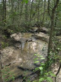 U8 Tributary