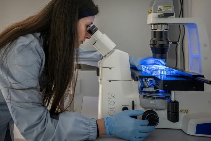 Francesca Pischedda at the microscope