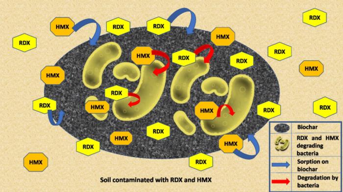 Bioremediation of RDX and HMX contaminated soil employing a biochar-based bioformulation