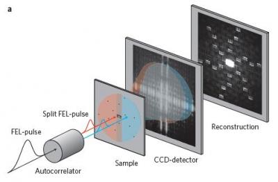 Experimental Setup