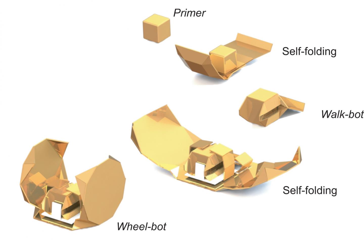 Robot Morphs on Demand Using 'Self-folding' Origami (9 of 9)