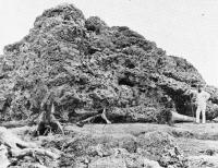 Krakatau Boulder