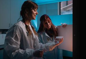 CSU researchers