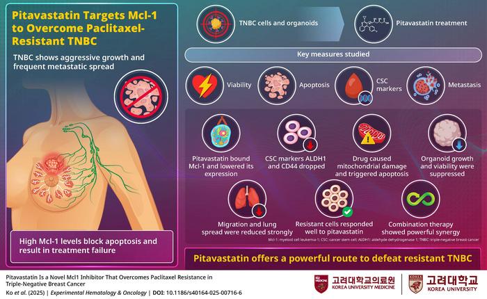 Pitavastatin Targets Mcl-1 to Overcome Paclitaxel-Resistant Triple-Negative Breast Cancer.