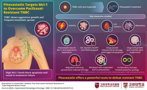 Pitavastatin Targets Mcl-1 to Overcome Paclitaxel-Resistant Triple-Negative Breast Cancer.