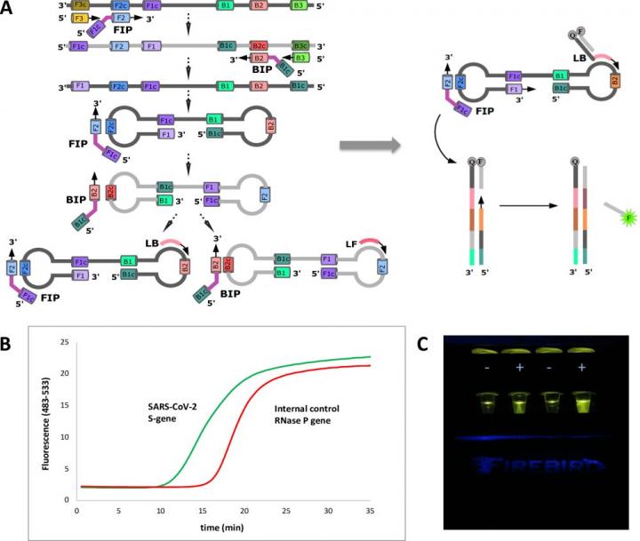 "Ultra-rapid detection of SARS-CoV-2 in public workspace environments