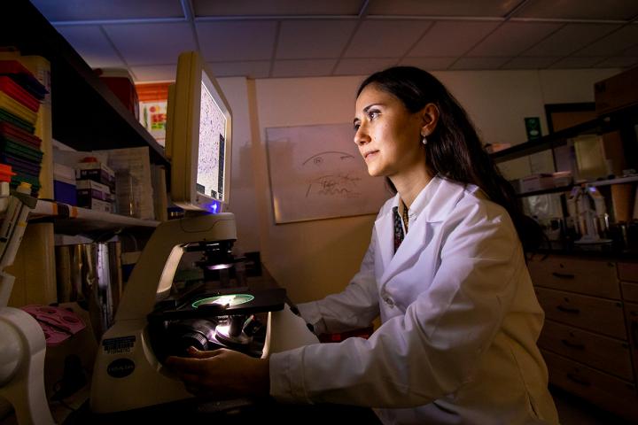 Zeynep Madak-Erdogan, University of Illinois at Urbana-Champaign