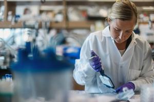 Calibr-Skaggs and Kainomyx Launch Collaboration to Pioneer Novel Malaria Treatments