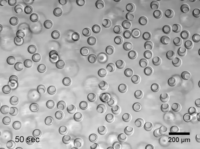 Nanovials settling in a well.