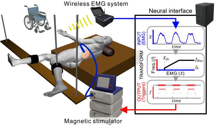 Non-invasive closed-loop spinal stimulation system