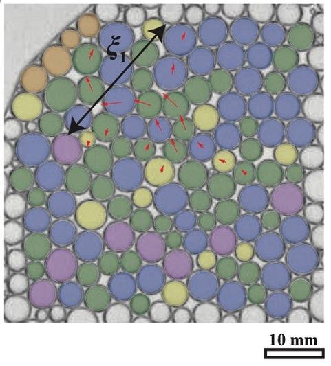 Rearrangements of polydisperse foams