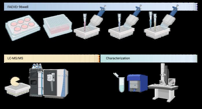 Process flow